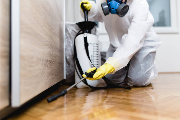 Best Affordable Pest Control Services  in Brooksville, MS